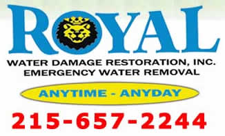 Royal Sewage Water Cleanup and Restoration Services